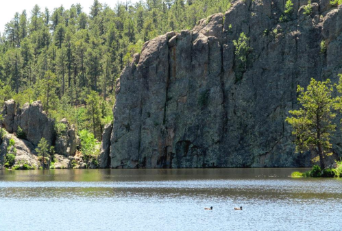 A serene lake surrounded by rocky cliffs and lush green trees, with two ducks swimming peacefully.