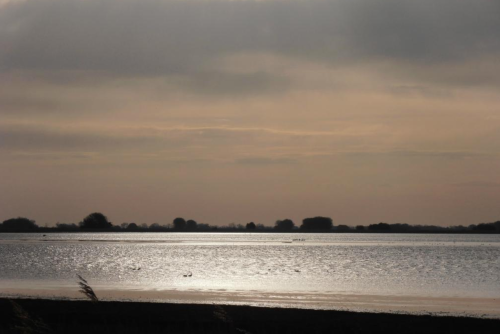 A tranquil landscape featuring a calm water body reflecting soft light under a cloudy sky. Silhouettes of trees in the distance.