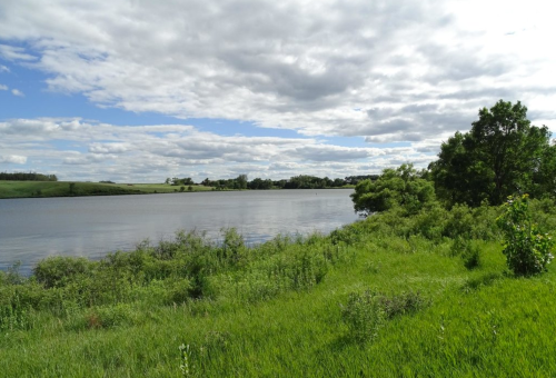 A serene river scene with lush green grass and trees under a partly cloudy sky.