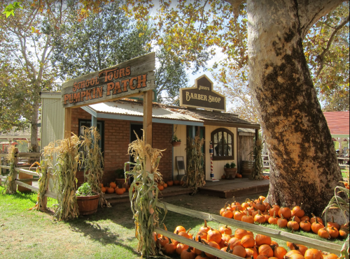 A rustic building with a sign for a barber shop, surrounded by pumpkins and autumn foliage.