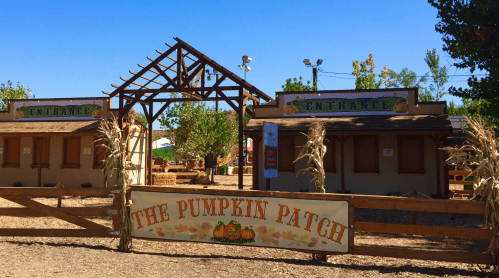 A rustic pumpkin patch entrance with wooden signs and a fence, surrounded by trees and clear blue skies.