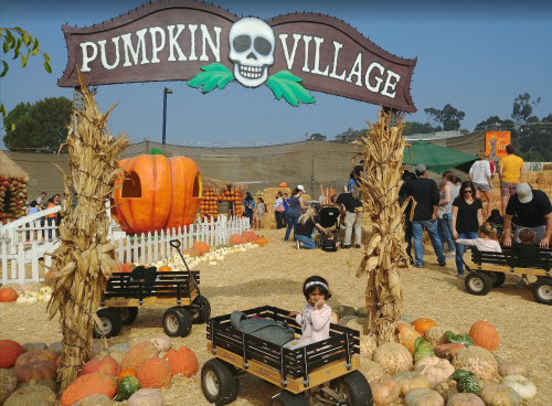 A child sits in a wagon at Pumpkin Village, surrounded by pumpkins and families enjoying the festive atmosphere.
