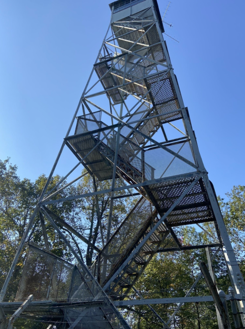 A tall metal observation tower with a staircase, surrounded by trees under a clear blue sky.