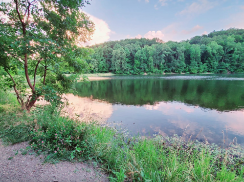 A serene river scene surrounded by lush green trees and a clear sky, reflecting the landscape in the water.