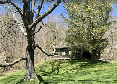 A rustic cabin surrounded by trees on a grassy hillside, with clear blue skies in the background.