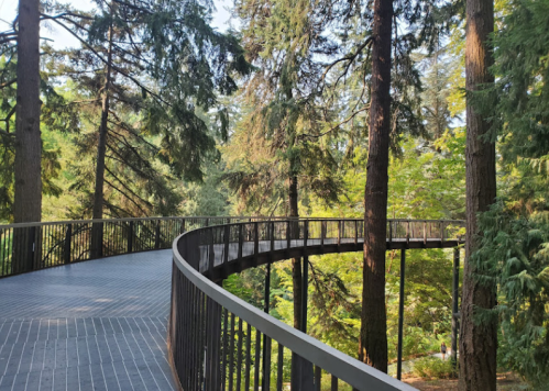 A winding walkway through a lush forest, surrounded by tall trees and greenery.