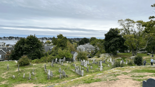 A view of a cemetery with gravestones, surrounded by trees and houses under a cloudy sky.