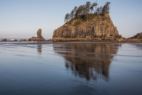 A rocky coastal landscape with a small island and trees, reflecting in calm water at low tide.