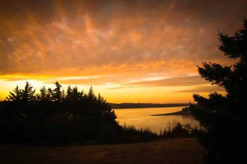 A serene sunset over a calm lake, framed by silhouettes of trees against a colorful sky.