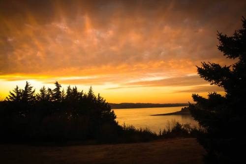 A serene sunset over a calm lake, framed by silhouettes of trees against a colorful sky.