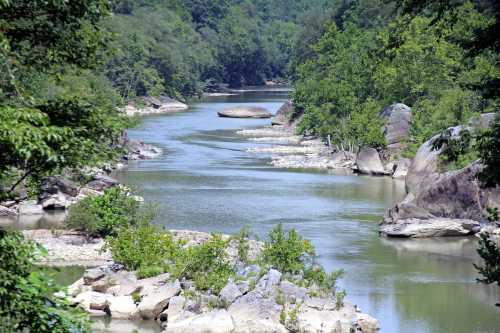 A serene river winding through lush greenery and rocky banks under a clear blue sky.