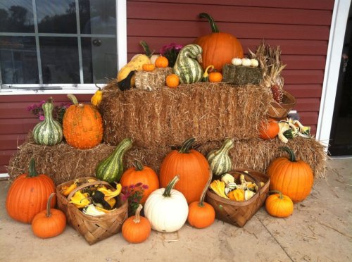 A festive display of pumpkins, gourds, and hay bales arranged outside a building, showcasing autumn colors and harvest themes.
