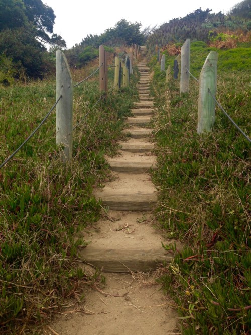 A sandy path with wooden steps leads up a grassy hill, bordered by wooden posts and greenery on either side.
