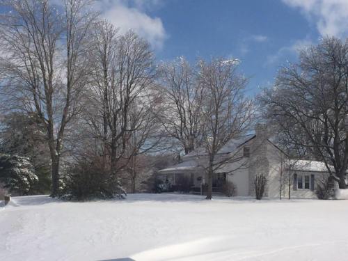 A snowy landscape featuring a house surrounded by bare trees under a blue sky with scattered clouds.