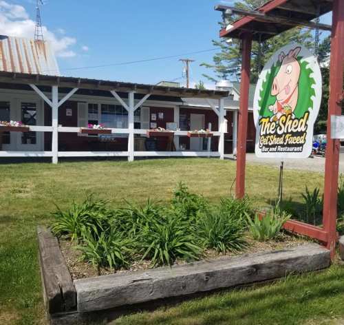 A rustic bar and restaurant called "The Shed" with a pig sign, surrounded by greenery and flowers on a sunny day.