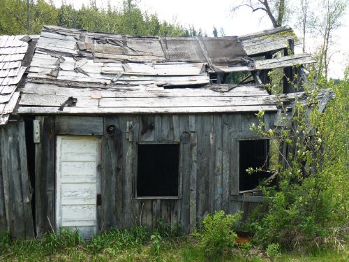 A dilapidated wooden cabin with a damaged roof and broken windows, surrounded by overgrown vegetation.
