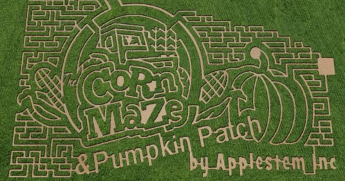Aerial view of a corn maze design featuring pumpkins and the text "Corn Maze & Pumpkin Patch by Applestem Inc."