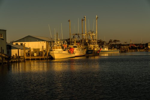 Boats docked at a harbor during sunset, with warm light reflecting on the water and buildings in the background.