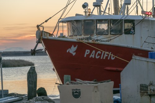 A red fishing boat named "Pacific" docked at sunset, with a calm water backdrop and wooden posts nearby.