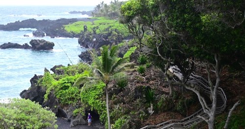 A scenic coastal view with lush greenery, rocky shores, and a winding path leading towards the ocean.