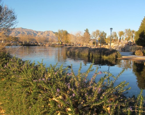 A serene park scene with a calm lake, blooming flowers, and mountains in the background under a clear blue sky.