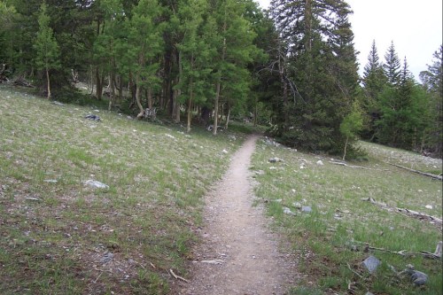 A winding dirt path through a grassy area surrounded by trees and rocky terrain.