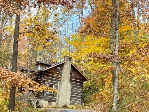A rustic wooden cabin surrounded by vibrant autumn foliage and tall trees under a clear blue sky.