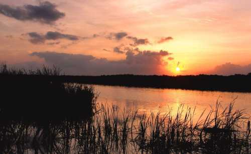 A serene sunset over a calm waterway, with silhouettes of grass and clouds reflecting the warm colors of the sky.