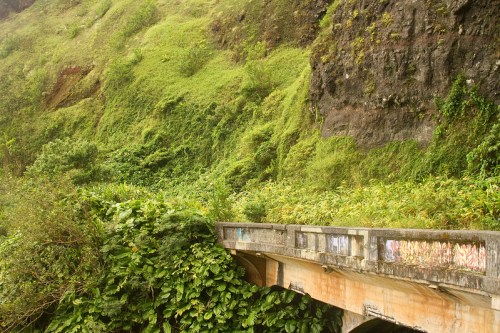 A weathered concrete bridge surrounded by lush green vegetation and rocky cliffs.