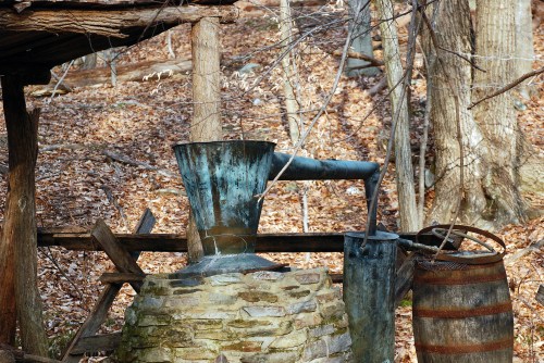 An old, weathered distilling apparatus made of metal, surrounded by trees and fallen leaves in a rustic setting.