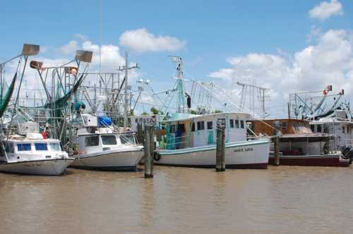 A row of fishing boats docked in a harbor under a blue sky with scattered clouds.