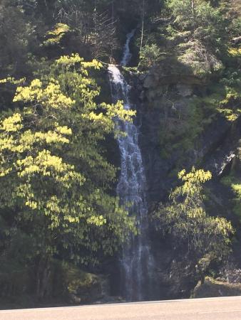 A serene waterfall cascading down rocky terrain, surrounded by lush green trees and foliage.