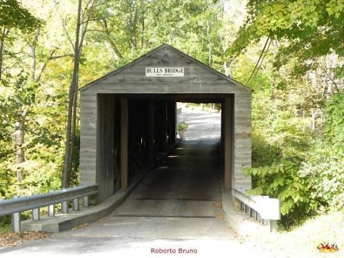A wooden covered bridge surrounded by lush green trees, leading to a winding road.