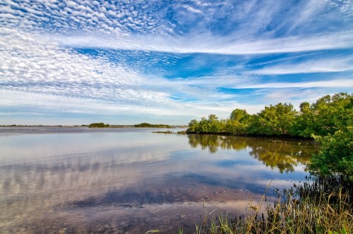 A serene landscape featuring a calm water body reflecting a blue sky with clouds, surrounded by lush greenery.