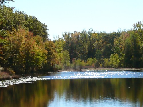 A serene lake surrounded by colorful autumn trees, reflecting sunlight on the water's surface.