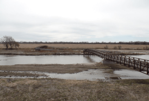 A calm river scene with two wooden bridges crossing over, surrounded by grassy banks and cloudy skies.