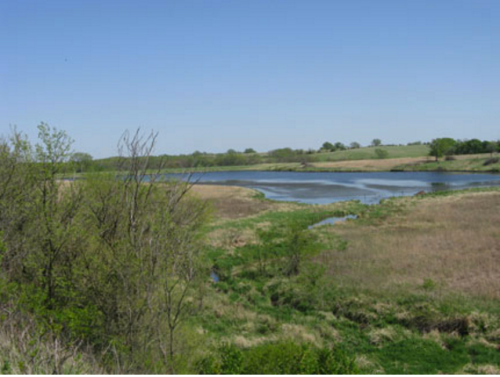A serene landscape featuring a calm lake surrounded by grassy fields and trees under a clear blue sky.