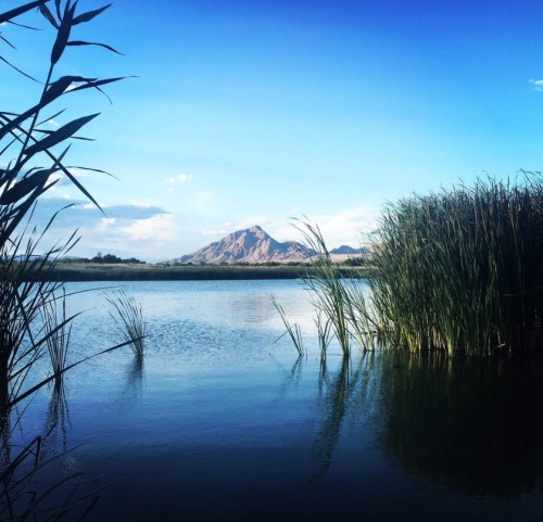 A serene landscape featuring a calm lake, tall grasses, and a distant mountain under a clear blue sky.