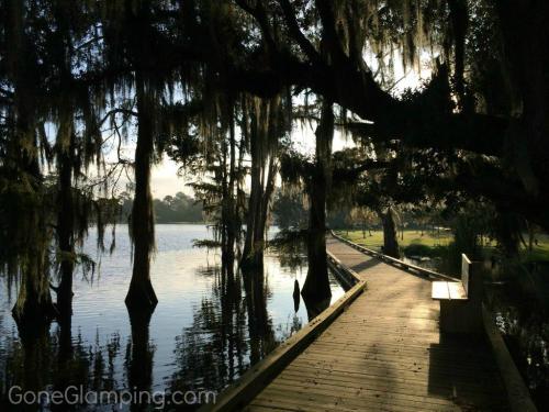 A serene lakeside scene with a wooden walkway, surrounded by trees draped in Spanish moss, reflecting in the water.