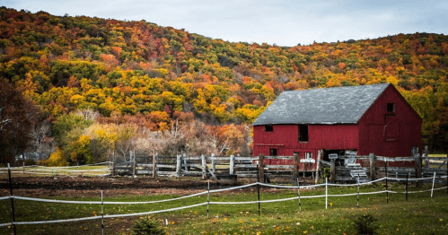 A red barn surrounded by vibrant autumn foliage and a fenced pasture under a cloudy sky.