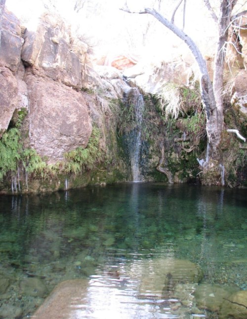 A serene natural pool surrounded by rocks and greenery, with a small waterfall cascading into the water.