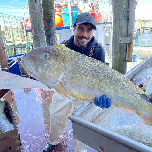 A smiling man in a cap holds a large yellow fish at a dock, with boats and fishing equipment in the background.