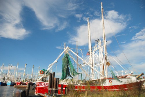A red fishing boat with nets docked in a harbor, surrounded by other boats under a blue sky with scattered clouds.