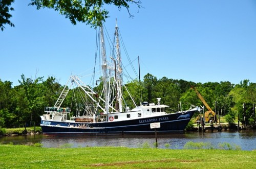 A fishing boat named "Alexandra Pearl" docked by a lush green riverbank on a sunny day.