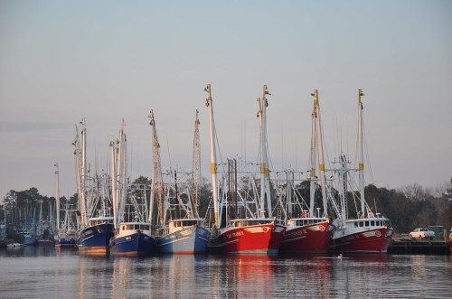 A row of fishing boats docked at a harbor, reflecting in calm water during sunset.