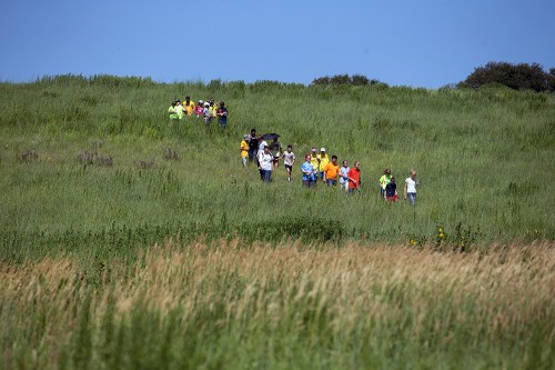 A group of people walking along a grassy hill under a clear blue sky.