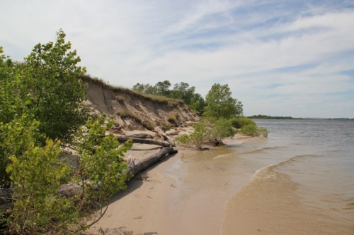 A sandy riverbank with lush greenery and a gentle slope leading to the water under a partly cloudy sky.
