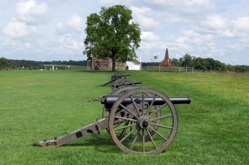 A row of historic cannons on green grass, with a tree and buildings in the background under a cloudy sky.