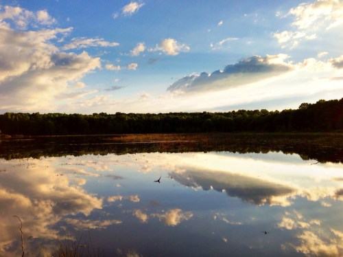 A serene lake reflects a blue sky with clouds and trees, creating a peaceful natural landscape.