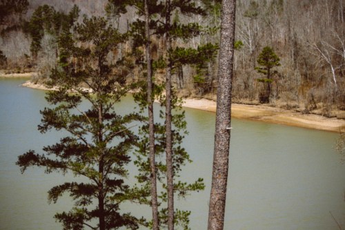 A serene lakeside scene with tall trees and a sandy shore, surrounded by a calm, greenish-blue water.